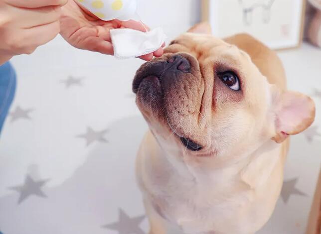 寵物清洗液進口報關要求(寵物清洗劑進口清關手續)