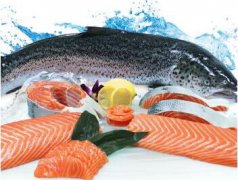 冰鮮三文魚價格再漲！貨源緊張、航班、清關費翻倍壘高！